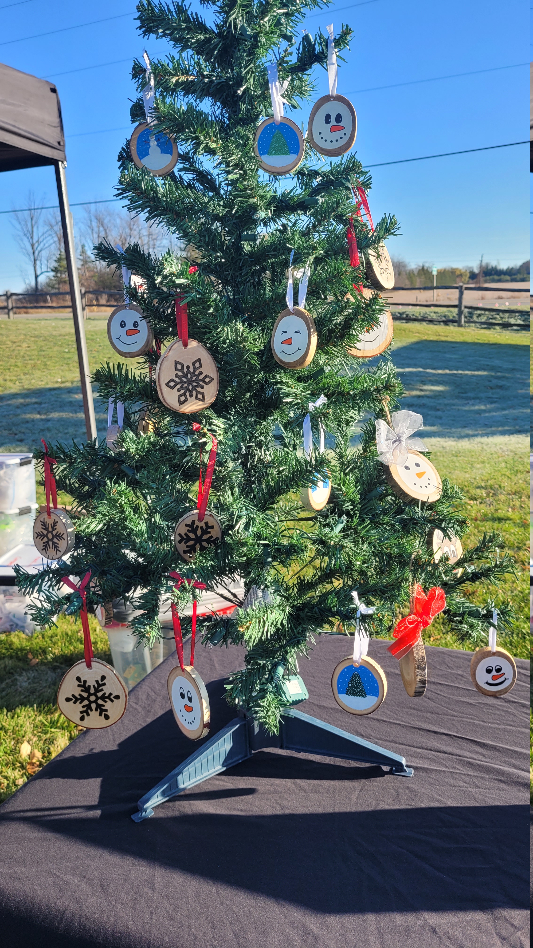 Assorted Wood Burned Ornaments